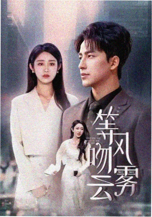 狂飙之虎 国产动作片